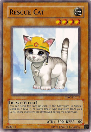 YuGiOh Rescue Cat